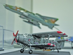 Nežinomo autoriaus nuotraukoje: iki spalio 15 dienos veiksianti paroda pretenduoja patekti ir į Lietuvos rekordų knygą Nežinomo autoriaus nuotraukoje: iki spalio 15 dienos veiksianti paroda pretenduoja patekti ir į Lietuvos rekordų knygą